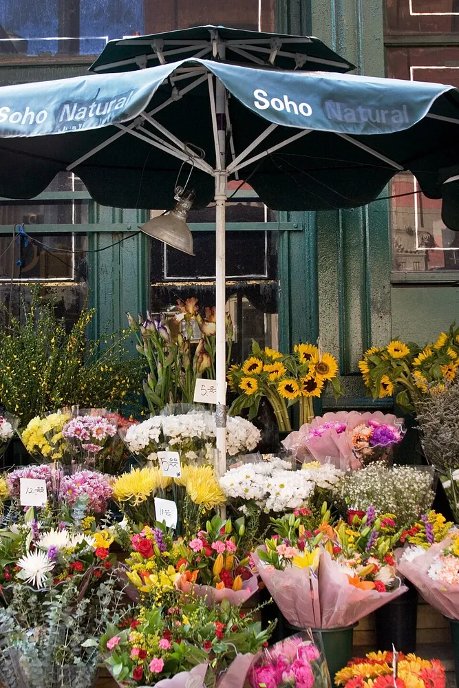 NYC - Roses - 0227