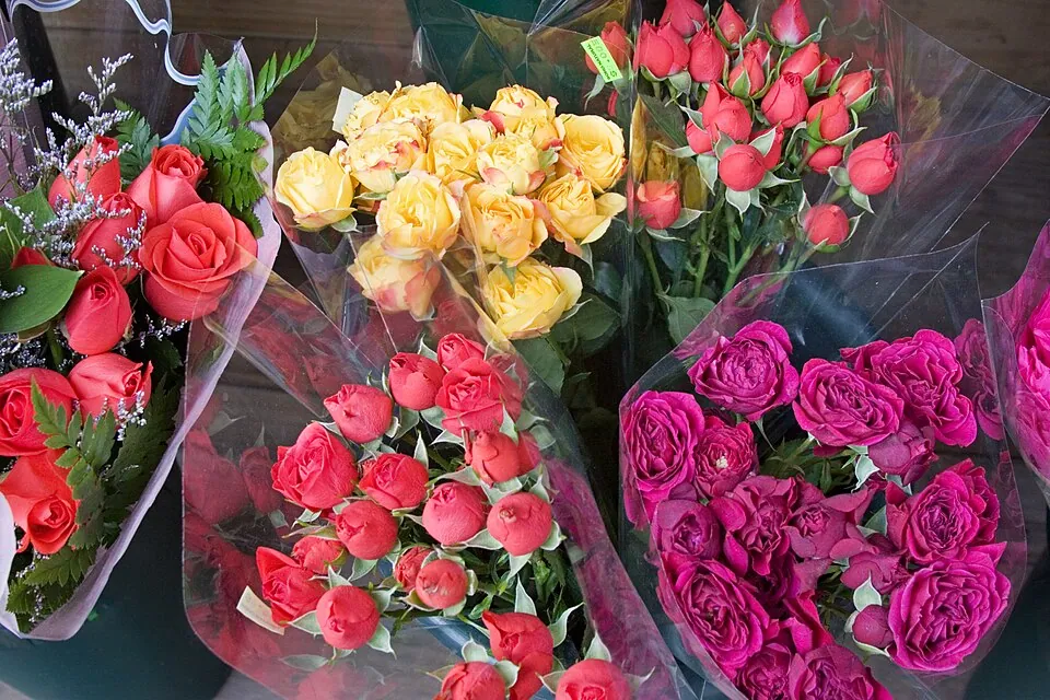 NYC - Roses - 0231